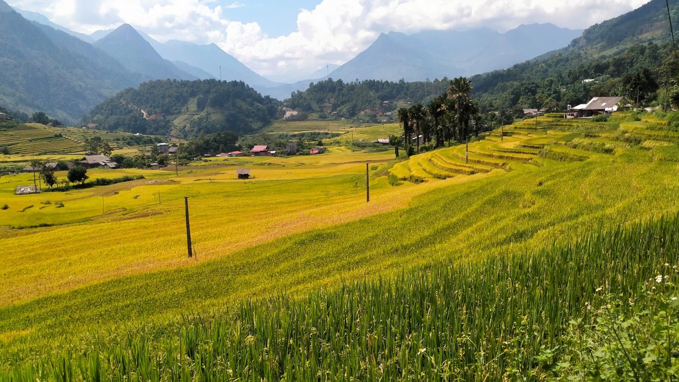 Sapa Trek Tours