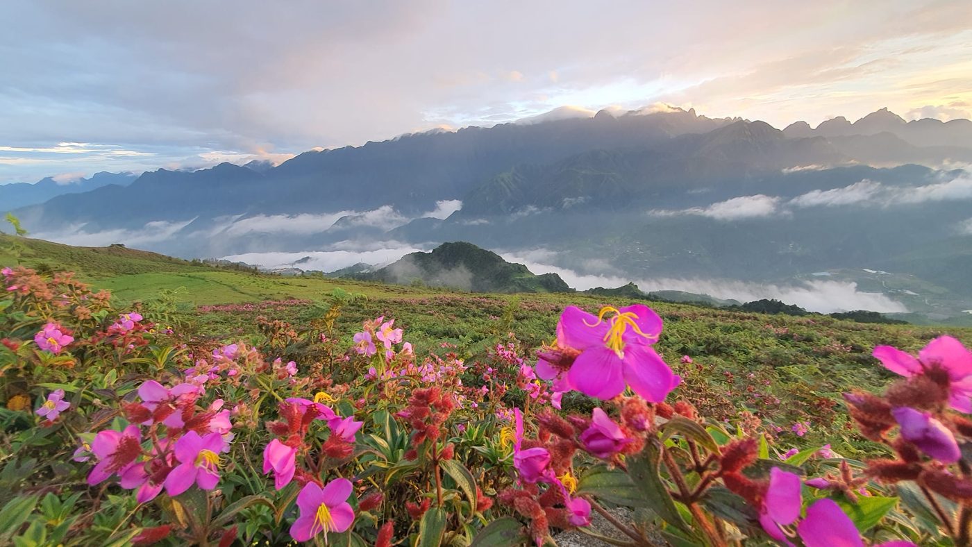 Sapa Trek Tours