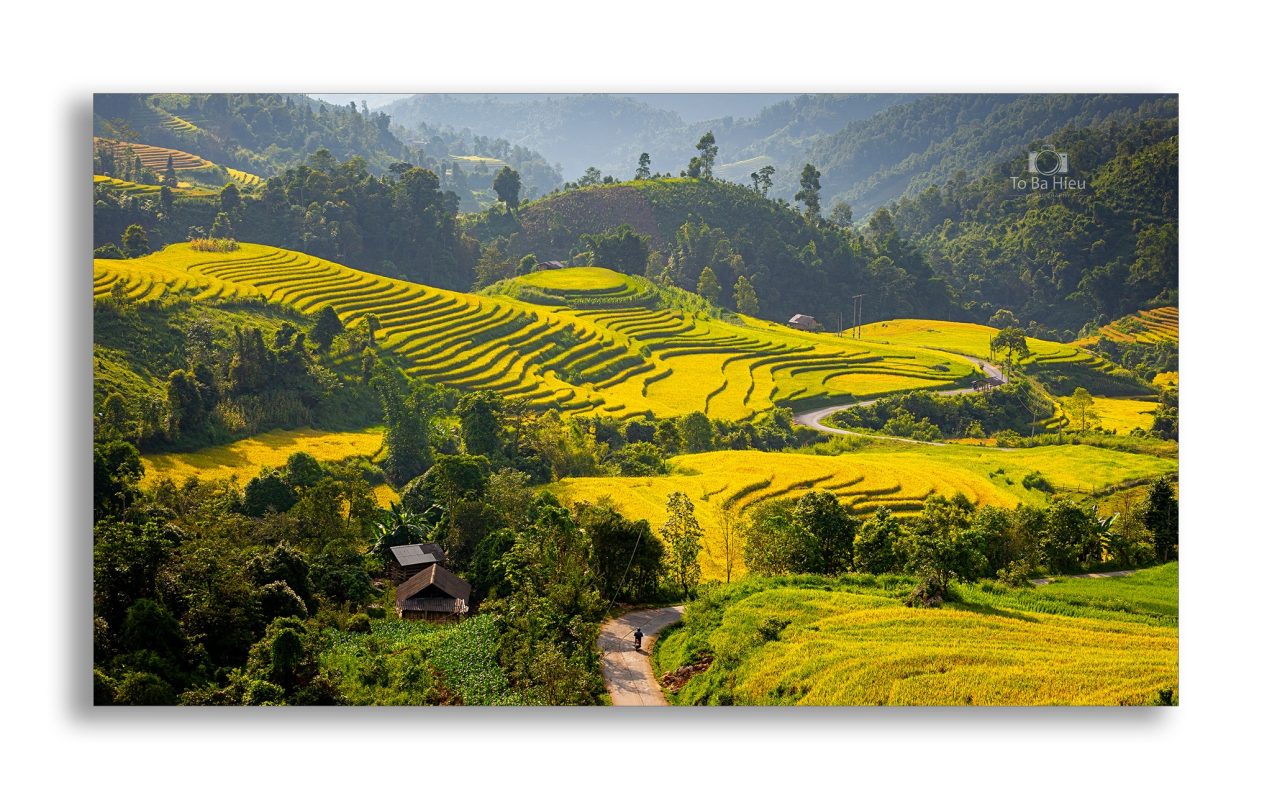 Sapa Trek Tours