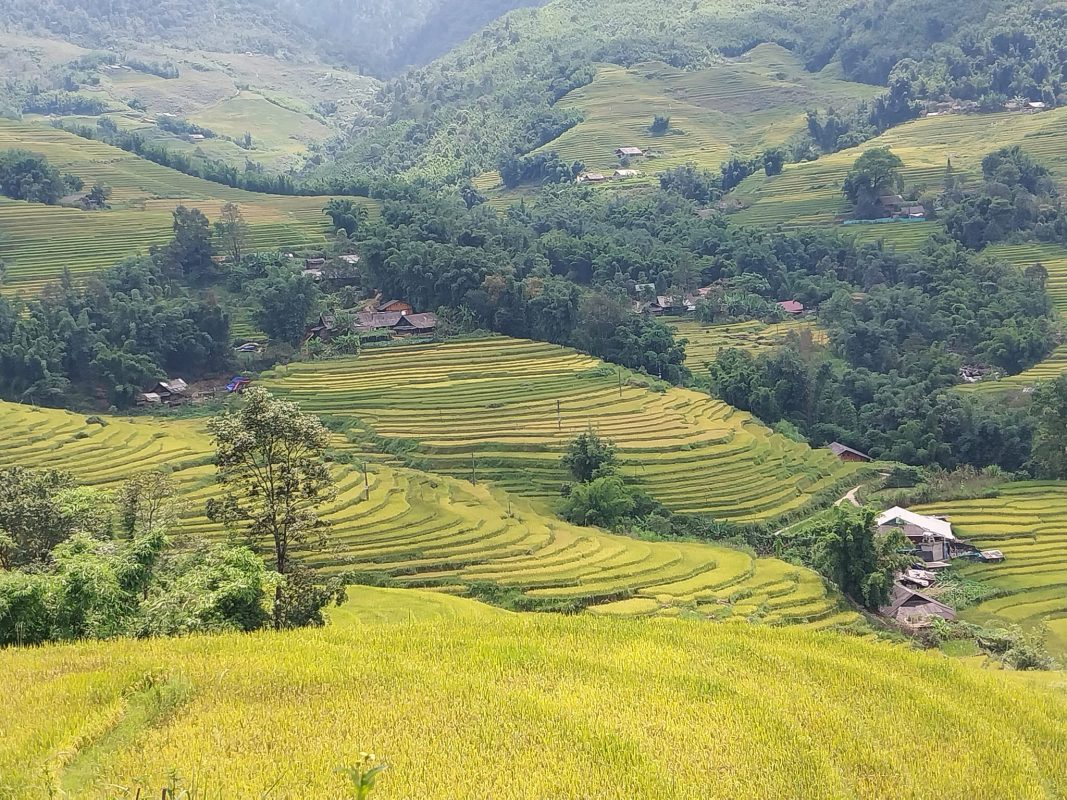 Sapa Trek Tours