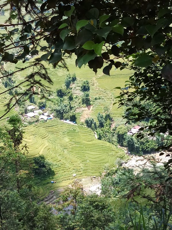 Sapa Trek Tours